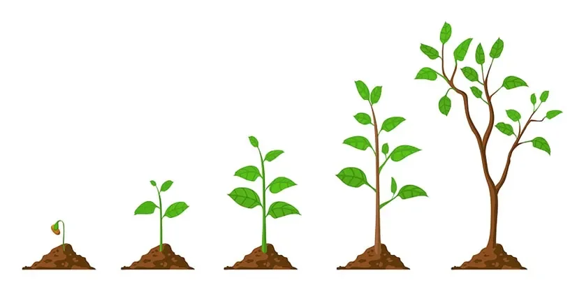 Strategies for Building Strong Client Relationships and Maximizing Value
