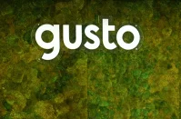Gusto Pro Enhancements Empower Accountants with AI Tools and Expanded Partner Support
