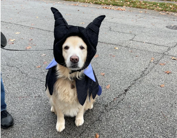 Halloween Spending Expected to Hit $13.5 Billion